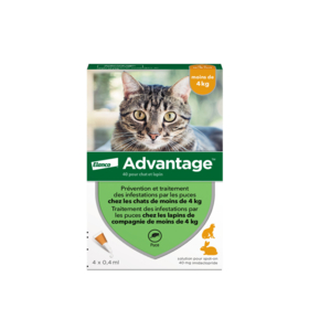 Advantage 40 Chat et Lapin <4 kg – Antiparasitaire externe chat et lapin moins de 4 kg – Solution pour application cutanée – Boîte de 4 pipettes de 0,8 ml