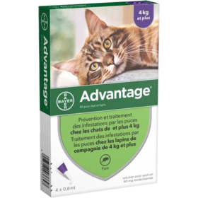 Advantage 80 – Solution antipuce chat et lapin de plus de 4 kg – 4 pipettes