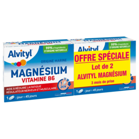 Alvityl Magnésium Vitamine B6 2x45 comprimés