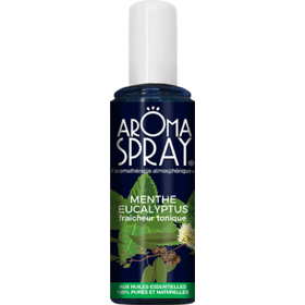 AROMASPRAY - Menthe Eucalyptus Fraicheur Aromatique - 100 ml