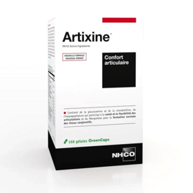 NHCO Artixine 168 gélules