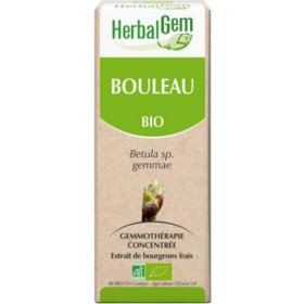 Bourgeon de Bouleau Bio - 30 ml