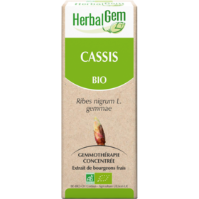 Bourgeon de Cassis Bio - 30 ml