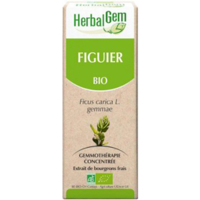 Bourgeon de Figuier Bio - 30 ml
