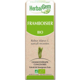 Bourgeon de Framboisier  Bio - 30 ml