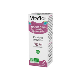 Extrait de Bourgeon de Figuier Bio - 15 ml
