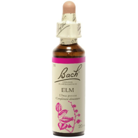Fleur de Bach n°11 Elm - 20 ml