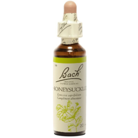 Fleur de Bach n°16 Honeysuckle - 20 ml