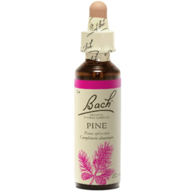 Fleur de Bach n°24 Pine  - 20 ml