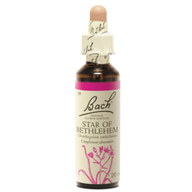 Fleur de Bach n°29 Star of Bethleem - 20 ml