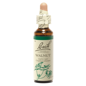 Fleur de Bach n°32 Vine - 20 ml