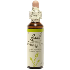 Fleur de Bach n°7 Chestnut Bud - 20 ml