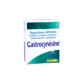 Boiron Gastrocynésine  60 comprimés