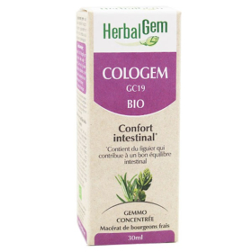 GEMMO CONCENTRÉE - Cologem Bio -  30 ml