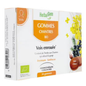 Gommes Chantres Bio - 24 gommes