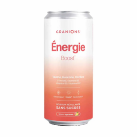 Granions Boisson Pétillante Énergie Boost Vitalité Agrumes 330 ml – Vitalité, concentration et réduction de la fatigue
