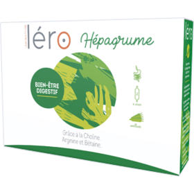 HEPAGRUME Bien-Etre Digestif - 20 ampoules