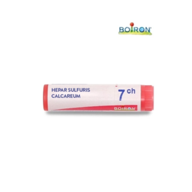 Boiron Hepar Sulfuris calcareum 7CH Tube