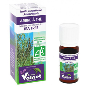 HUILE ESSENTIELLE - Arbre à Thé Bio - 10 ml