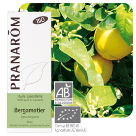 HUILE ESSENTIELLE - Bergamote Bio - 10ml