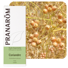 HUILE ESSENTIELLE - Coriandre - 10 ml