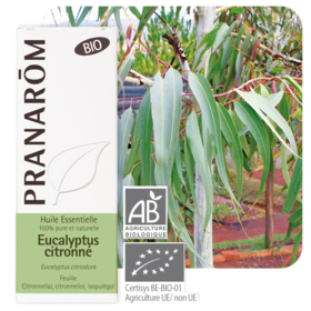 HUILE ESSENTIELLE - Eucalyptus Citronné Bio - 10 ml