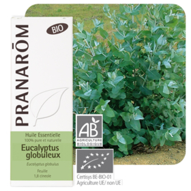 HUILE ESSENTIELLE - Eucalyptus Globuleux Bio - 10 ml