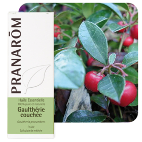 HUILE ESSENTIELLE - Gaulthérie Couchée - 10 ml