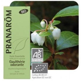 HUILE ESSENTIELLE - Gaulthérie Odorante Bio - 10 ml