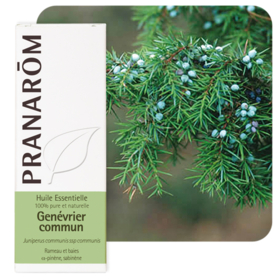 HUILE ESSENTIELLE - Génévrier Commun - 5 ml