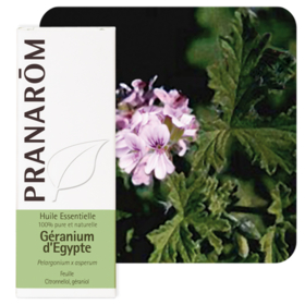 HUILE ESSENTIELLE - Géranium d'Egypte - 10 ml