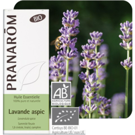 HUILE ESSENTIELLE - Lavande Aspic Bio - 10 ml