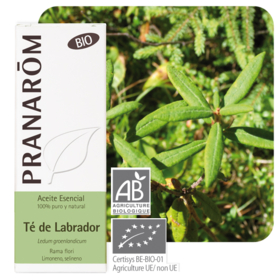 HUILE ESSENTIELLE - Lédon du Groenland Bio - 5 ml