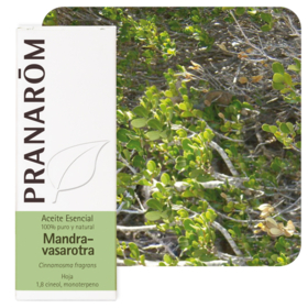 HUILE ESSENTIELLE - Mandravasarotra Saro - 10 ml
