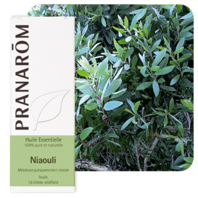 HUILE ESSENTIELLE - Niaouli - 10 ml