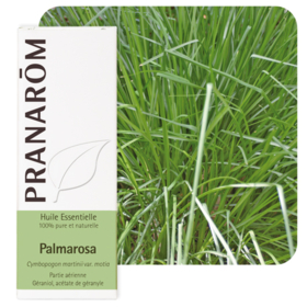 HUILE ESSENTIELLE - Palmarosa - 10ml