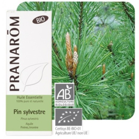 HUILE ESSENTIELLE - Pin Sylvestre Bio - 10 ml