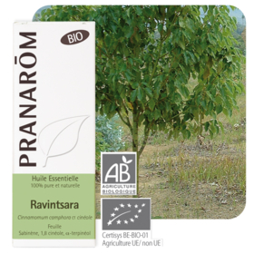 HUILE ESSENTIELLE - Ravintsara Bio - 10 ml