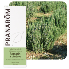 HUILE ESSENTIELLE - Romarin à Cinéole - 10 ml