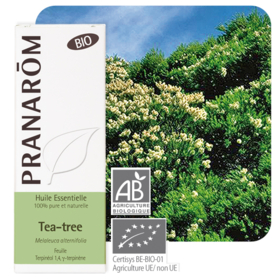 HUILE ESSENTIELLE - Tea Tree Bio - 10 ml