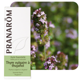 HUILE ESSENTIELLE - Thym Vulgaire à Thujanol - 5 ml