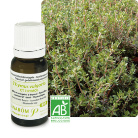 HUILE ESSENTIELLE - Thym Vulgaire à Thymol Bio - 5 ml