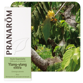HUILE ESSENTIELLE - Ylang-ylang Extra - 5 ml