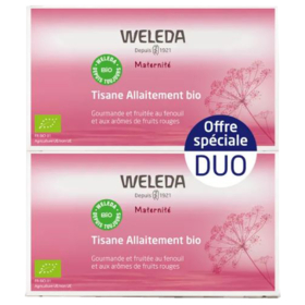 Maternité Tisane Allaitement Fruits Rouges - Lot de 2x 20 sachets