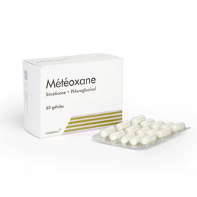 Météoxane Intestin 60 gélules
