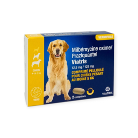 Milbemycine Praziquantel Viatris 12,5 mg/125 mg – Vermifuge chien +5 kg – Comprimés – Boîte de 2 comprimés