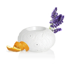 Puressentiel Diffuseur à chaleur douce Calvi