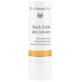 Stick Eclat des Lèvres - 4,9 g