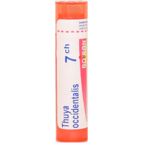 Boiron Thuya Occidentalis 7 CH - 1 dose