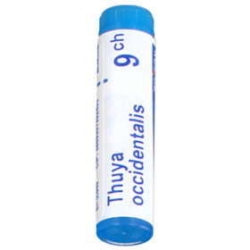 Boiron Thuya Occidentalis 9 CH - 1 dose